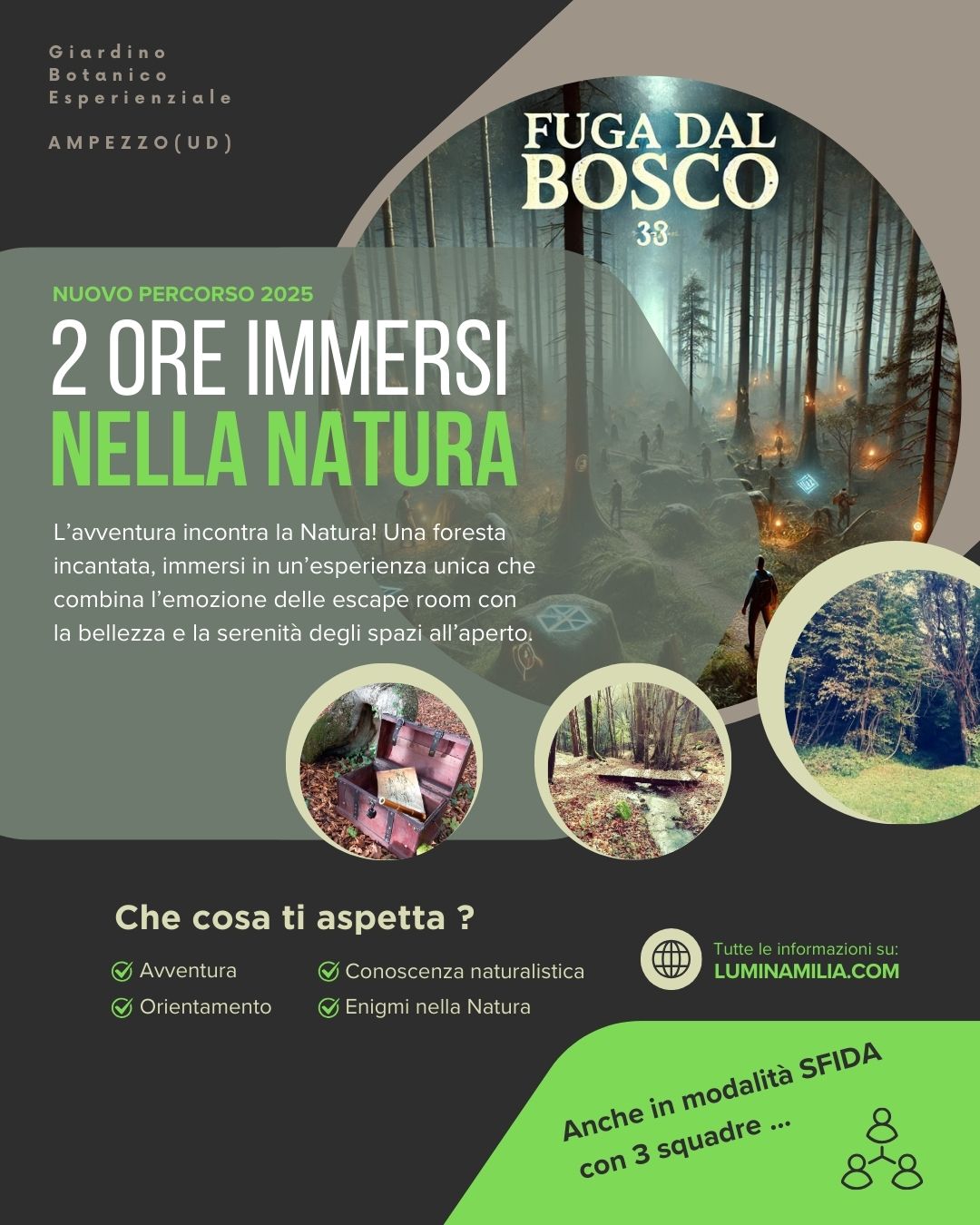 Fuga dal bosco