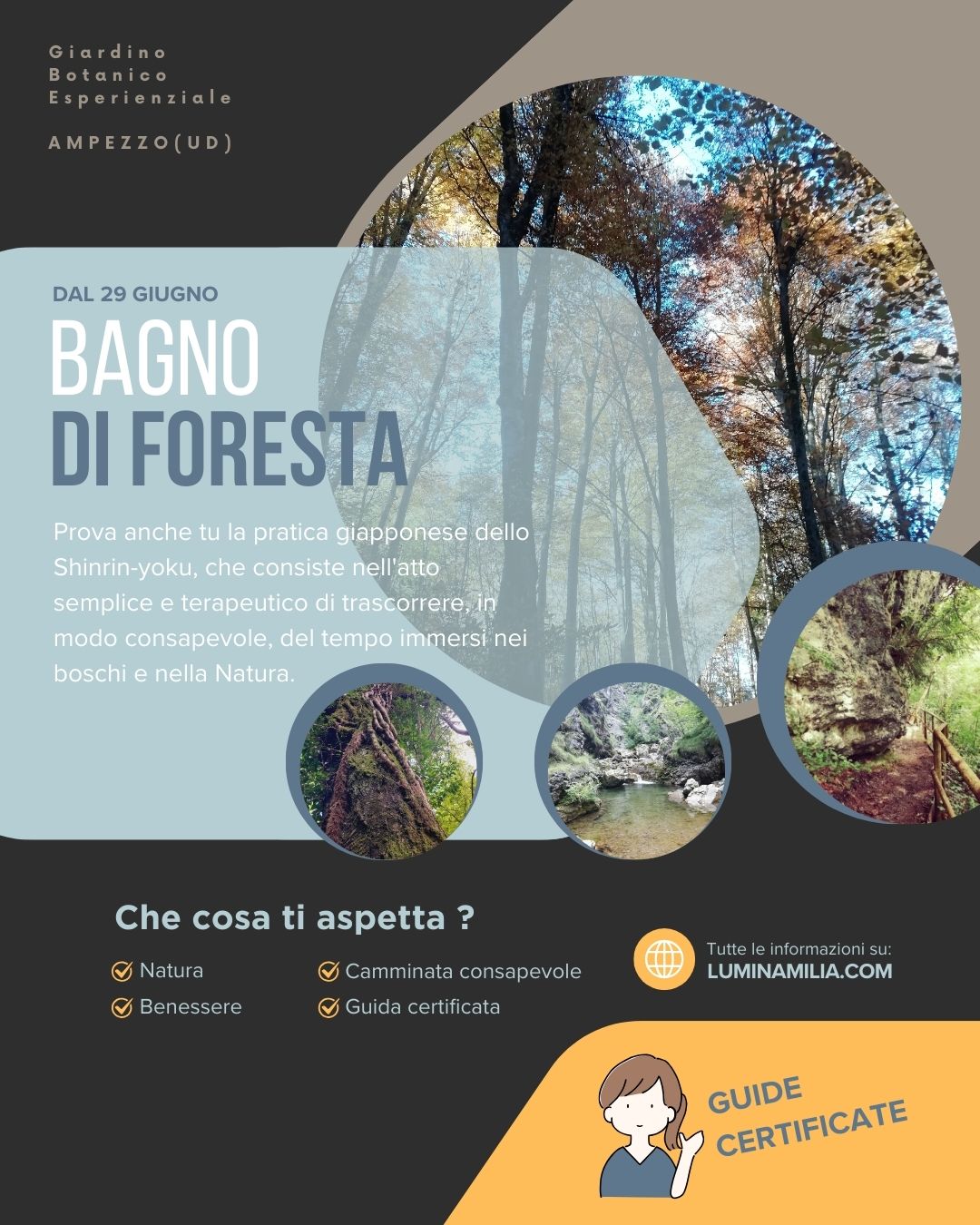 Bagno di foresta