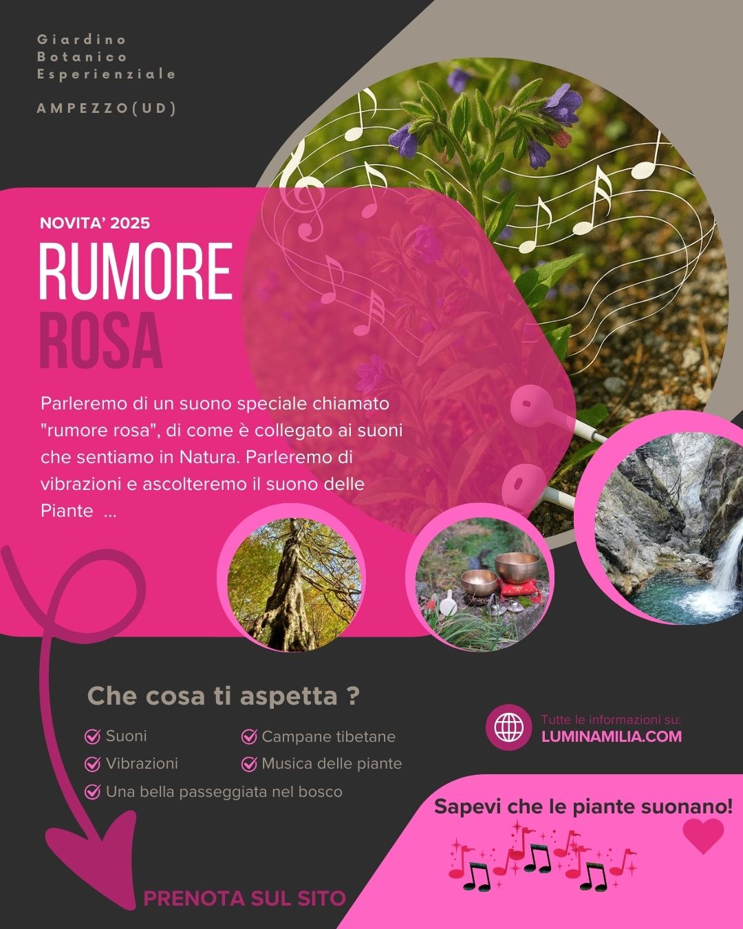 Rumore rosa
