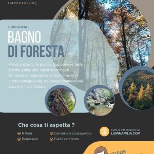 Forest Bathing