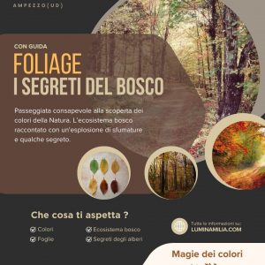 Foliage (Segreti del bosco)