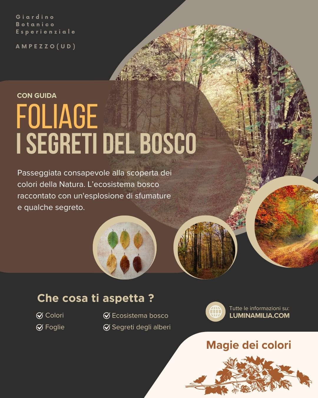 I segreti del bosco