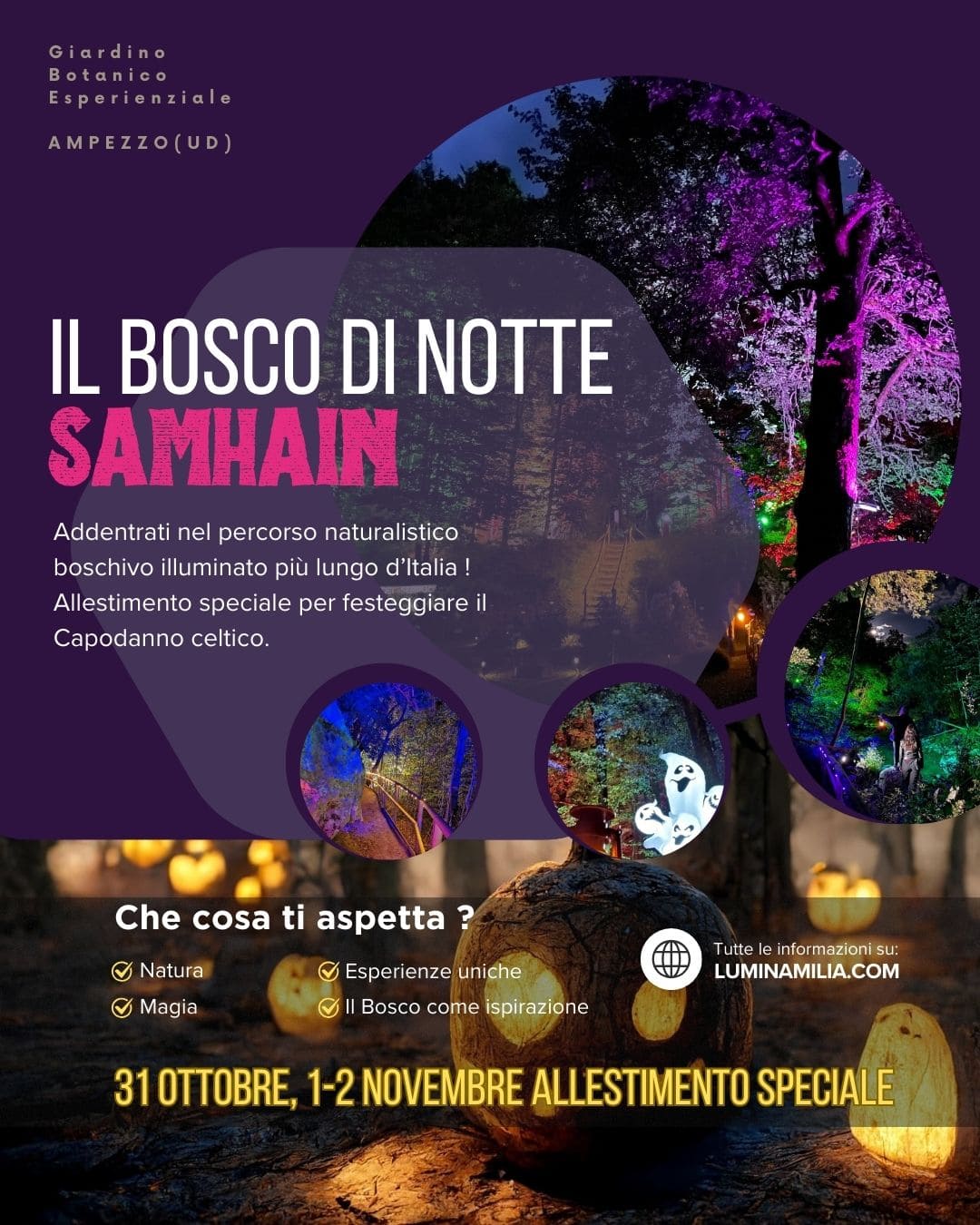 Il bosco di notte