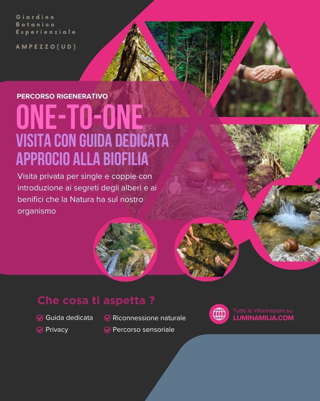 Biofilia. Riconnessione naturale.