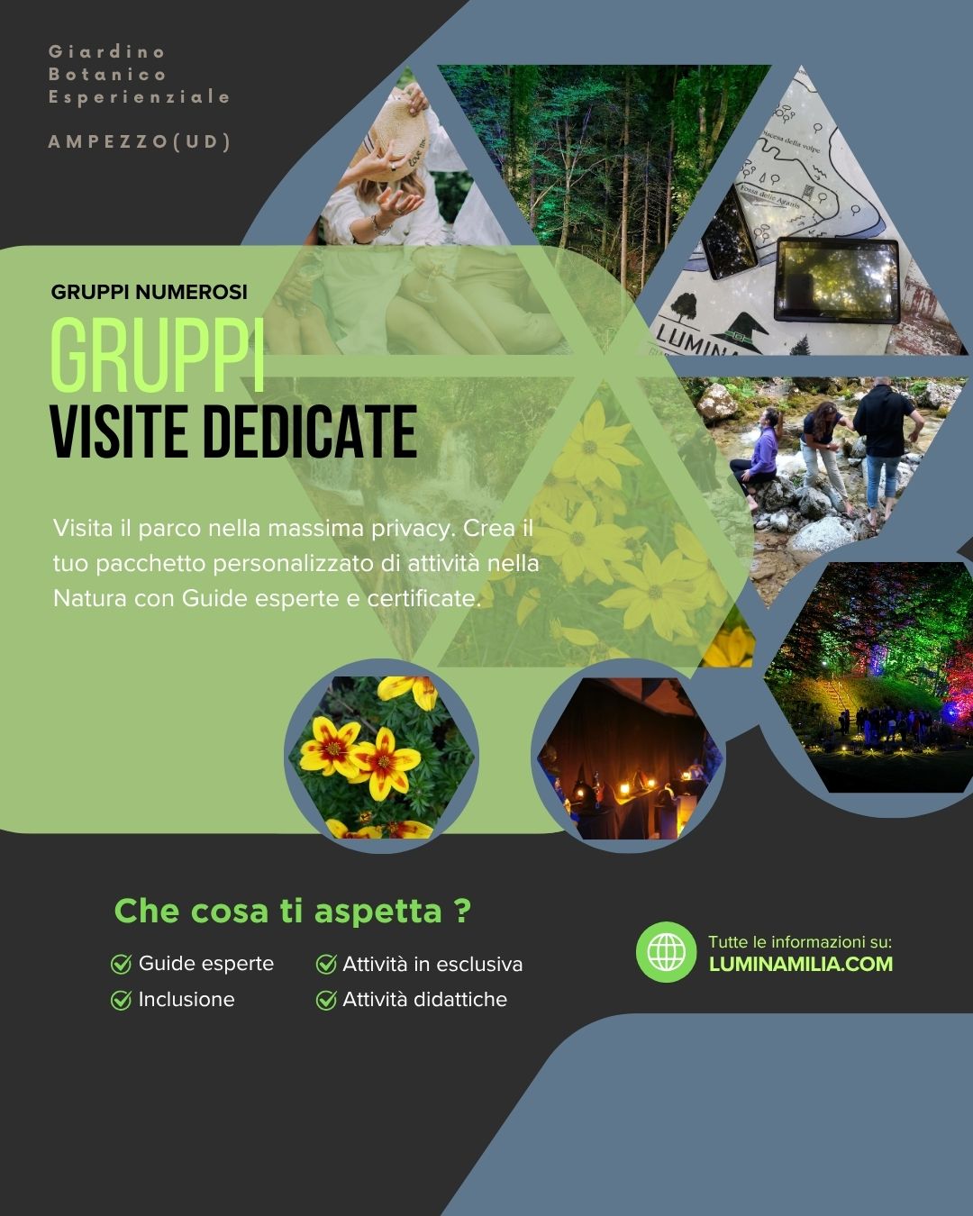 Esperienze per Gruppi