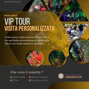 Vip Tour