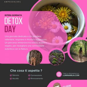 Detox Day