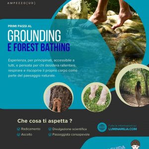 Primi Passi (Grounding e Forest Bathing)