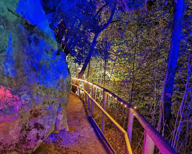 bosco-lumina-milia1