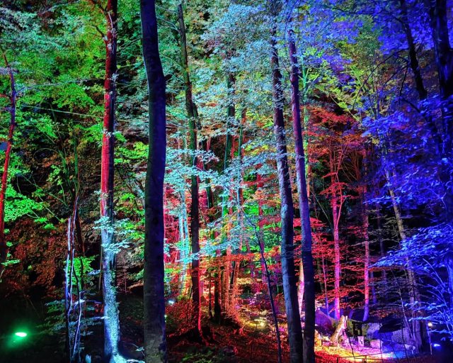 Percorso notturno